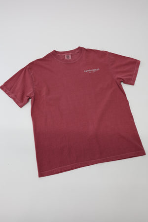 Heavyweight T-Shirt in Brick