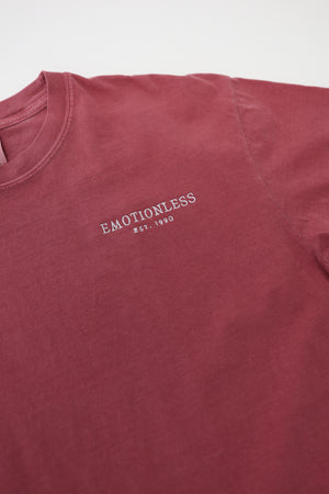 Heavyweight T-Shirt in Brick