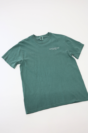 Heavyweight T-Shirt in Light Green