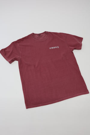 Heavyweight T-Shirt in Brick - Chinese Letters