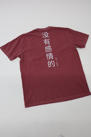 Heavyweight T-Shirt in Brick - Chinese Letters