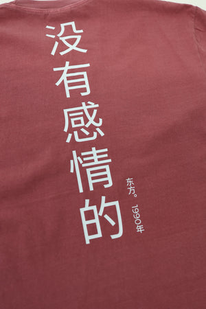 Heavyweight T-Shirt in Brick - Chinese Letters