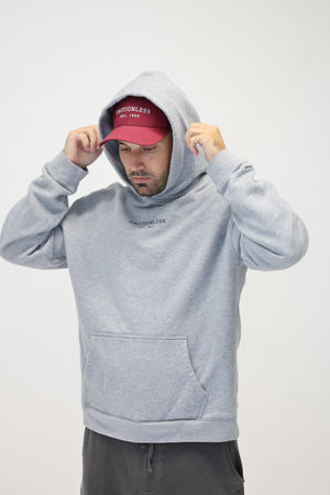 Oversized Hoodie in Light Gray