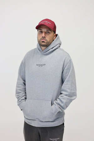 Oversized Hoodie in Light Gray