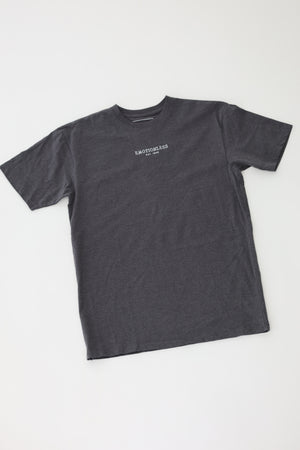 Premium Heavyweight T-Shirt in Heather Gray