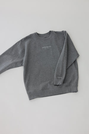 Premium Sweatshirt in Gray