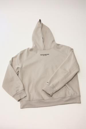 Oversized Hoodie in Dust