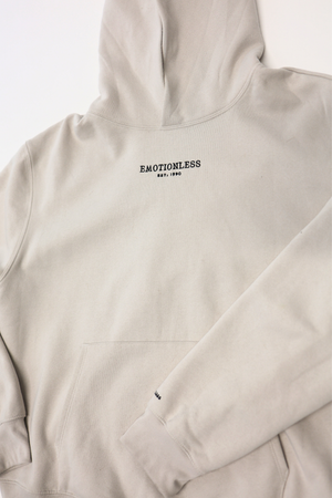 Oversized Hoodie in Dust