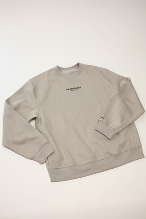 Oversized Sweatshirt in Dust