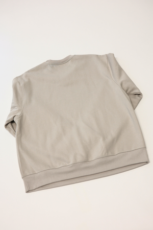 Oversized Sweatshirt in Dust