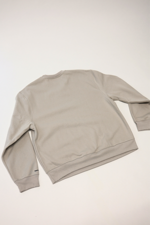 Oversized Sweatshirt in Dust