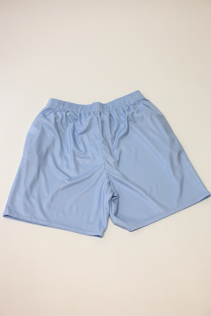 Mesh Shorts in Baby Blue